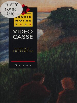 cover image of Vidéo casse